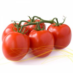 1617736814-h-250-tomato.jpg